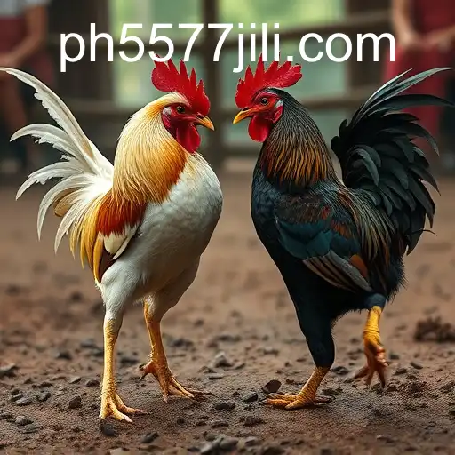 Gaming Experience 5577JILI.COM - 800+ Premium and Exclusive Games